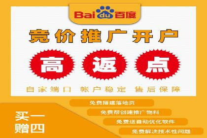 SEM推广代运营：成功案例解析与策略分享